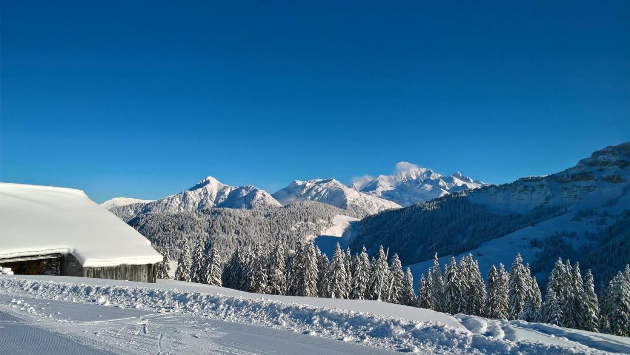 Hotel Du Grand-Mont Beaufort  Exteriér fotografie